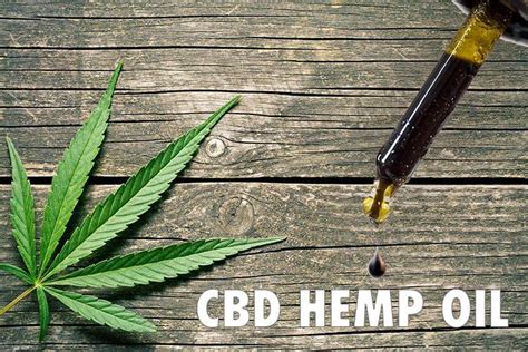 cbd hemp oil cannabis oil and health benefits cbd oil