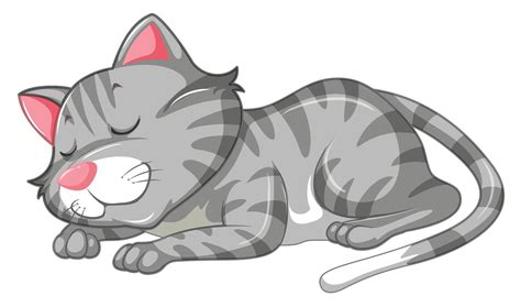 A Cat Character Sleeping 294889 Vector Art At Vecteezy