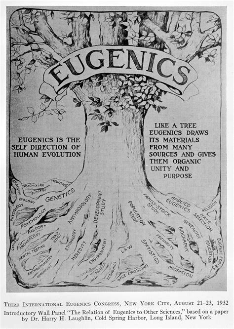 Reflecting On The Legacies Of Eugenics The Wiener Holocaust Library