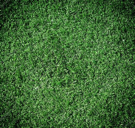 Green Grass Texture For Background Stock Photo By ©krivosheevv 61580349