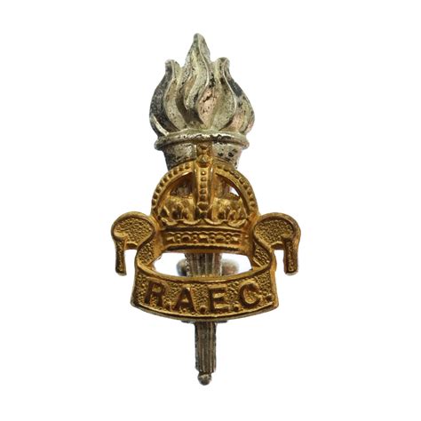 Royal Army Educational Corps Raec Officers Silvered And Gilt