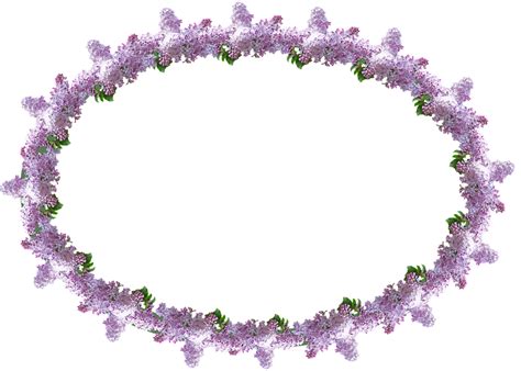 Frame Border Lilac - Free photo on Pixabay