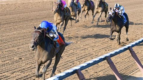 Road To The 2017 Breeders Cup Three Heating Up Three Cooling Down