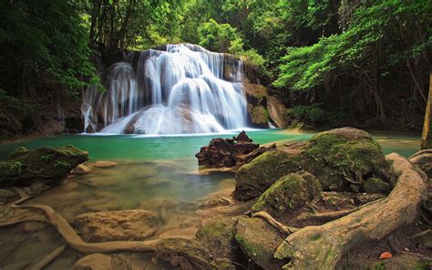 2k Rocks Pond Moss Trees Timelapse Jungle Waterfall Forest