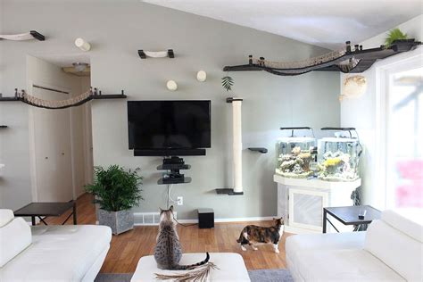 Designing Your Cat Wall ⋆ Catastrophic Creations