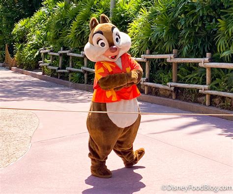 Photos You Seriously Need To See The New Chip And Dale Outfits In Disney