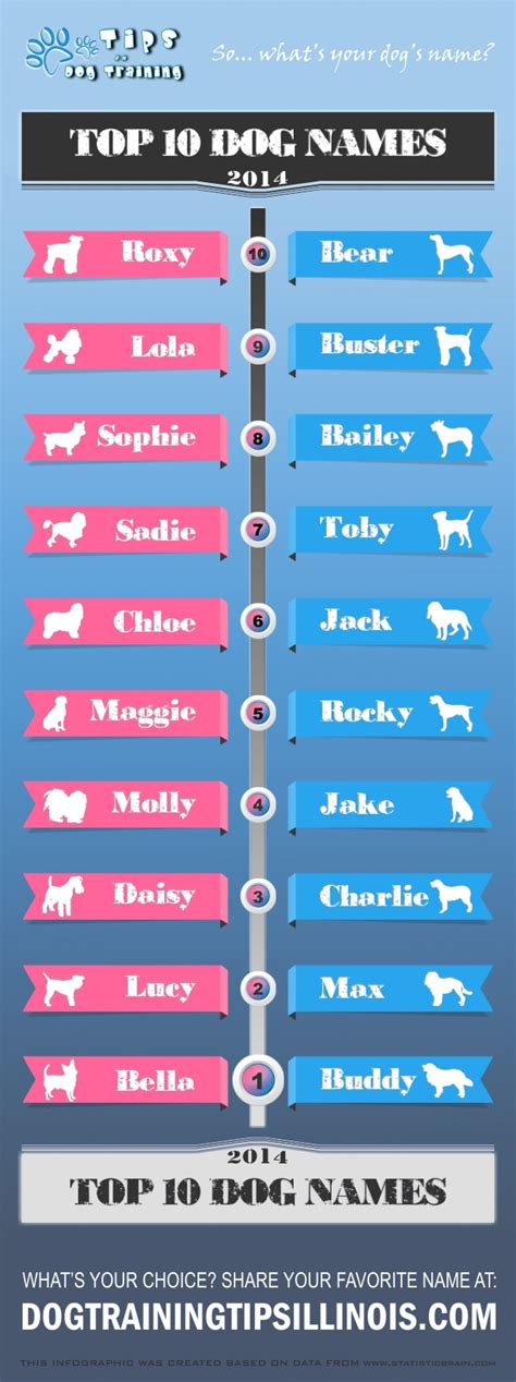 Top 10 Female And Male Dog Names Of 2014 Infographic Dog Names Dog