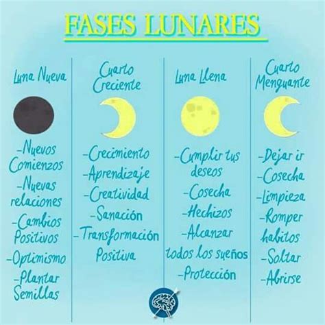 Fases Lunares Libro De Las Sombras Carta Astral Astrología Limpieza