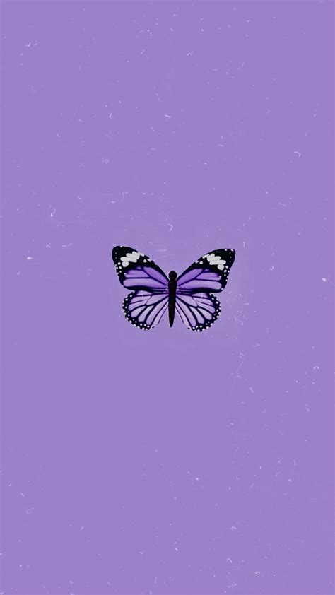 Pin By Nia Boykin On Cute Wallpaper Backgrounds Purple Butterfly