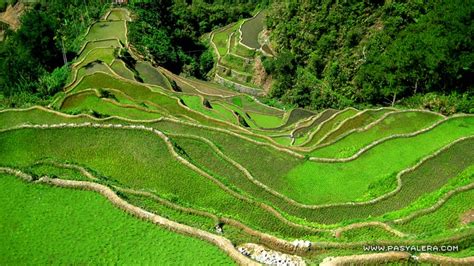 Filipinas Beauty Banaue Rice Terraces Of Ifugao Mountain Philippines