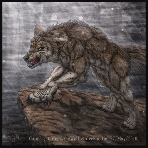 Commission Dire Wolf By Sheltiewolf On Deviantart