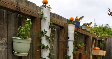 Low Cost Gardening Projects With Pvc Pipes My Favorite Things