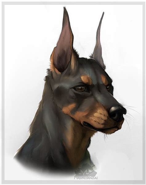 Doberman By Majinbanzai Canine Art Dog Drawing Doberman