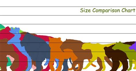 A bike size chart is useful for those who decide to take their search for a new bike online, where there remains a concern that they will not buy a bike fortunately, with a basic bike size chart guide, it is possible to determine the most appropriately sized bike to buy when looking at option on the internet. animal size comparison chart | "Wild" | Pinterest | Cats ...