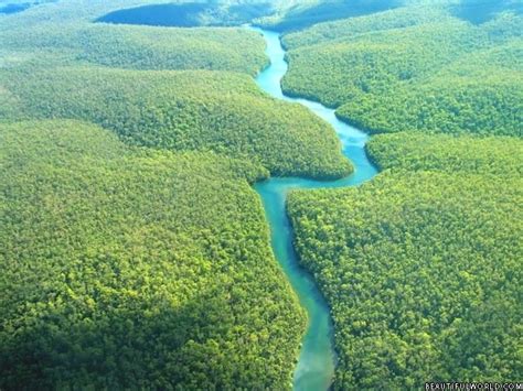 Amazon Rainforest Facts Amazon Rain Forest Map And Information Travel