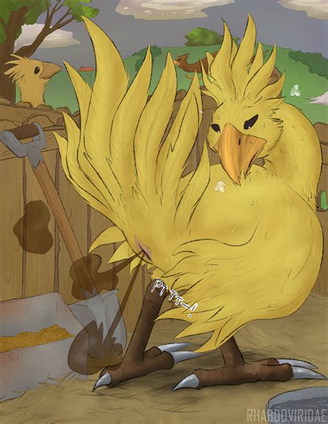 Rule 34 Ambiguous Gender Avian Chocobo Cloaca Fart Farting Feral