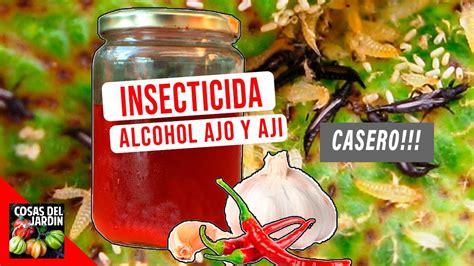 Insecticida Alcoholico De Ajo Y Chiles Dura Meses Pulgon Mosca