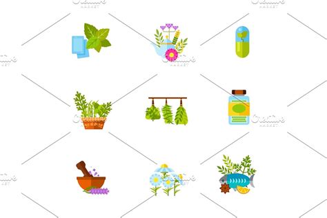 Herb Icon Set Creative Daddy