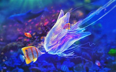 Pin By Twan Remmers On Animal Deep Sea Creatures Underwater Animals
