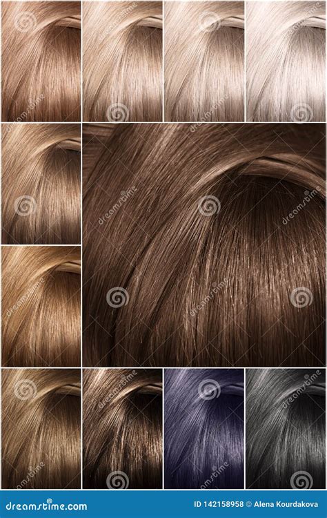 Palette De Couleurs De Cheveux Avec Un Large Ventail D Chantillons
