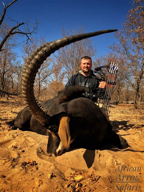 South Africa Bowhunt Hunting With African Arrow Safaris