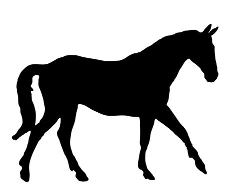 Horse Black Silhouette Free Stock Photo Public Domain Pictures
