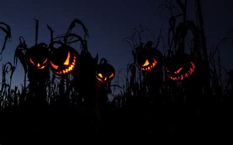 Scary Halloween Background Images 62 Images