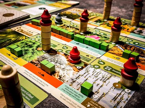 Wingspan Players Will Love The Earth Board Game Bell Of Lost Souls