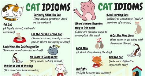 Cat Idioms 30 Useful Cat Idioms And Sayings In English 7esl