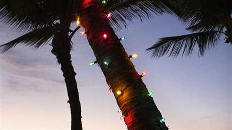 Hawaiian Christmas Trees Even The Traditional Symbols Of Christmas
