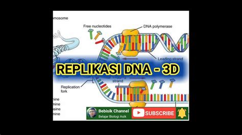 Yang dimana soal ini bisa sobat jadikan bahan materinya gimana min? Replikasi DNA - 3D - Biologi - 12 SMA - YouTube