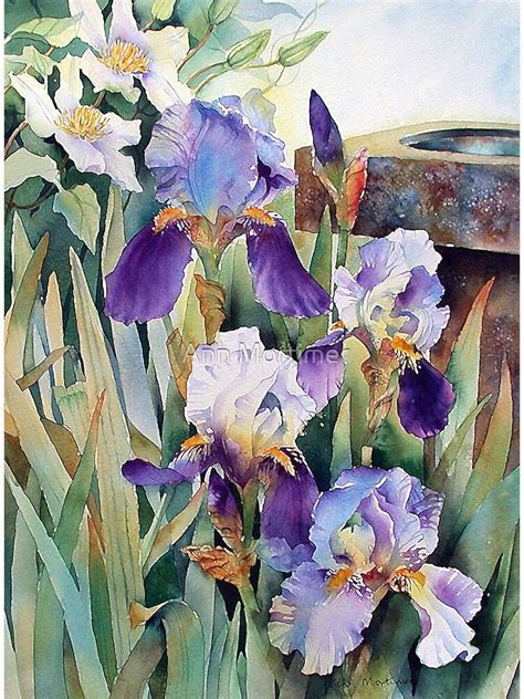 Irises And Clematis Postcard By Ann Mortimer In 2021 Iris Painting