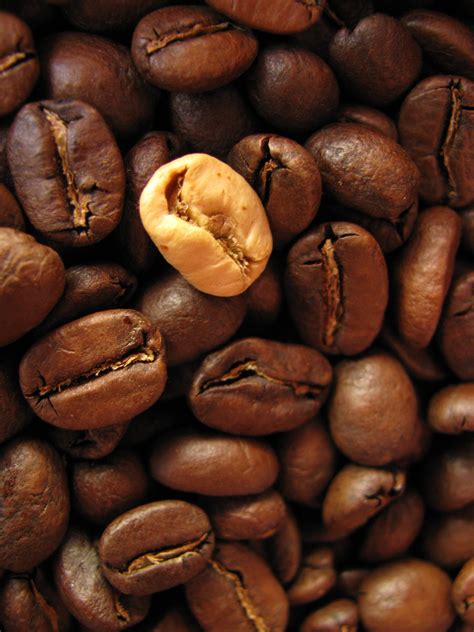 5 Origins Of Good Quality Coffee Beans That Coffee Lovers Shouldnt Miss