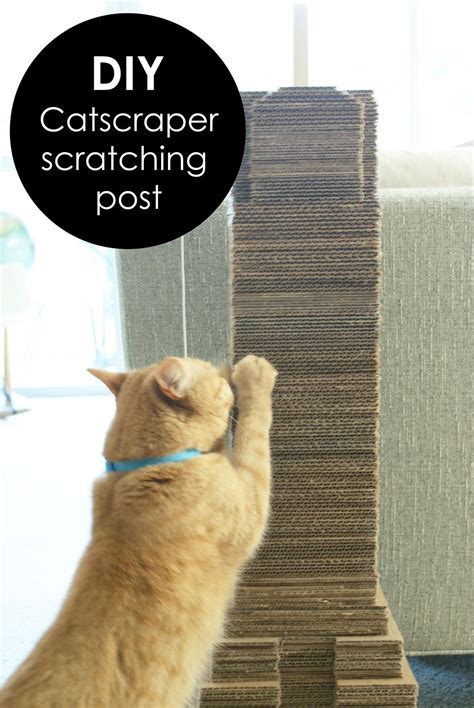 Catscraper Diy Cat Scratching Post Scratcher Made From Recycled
