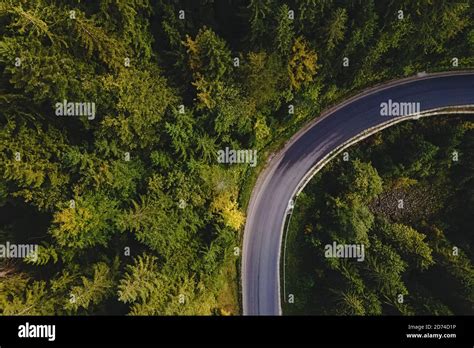 Aerial Top View Of Curvy Mountain Road Going Through The Pine Forest
