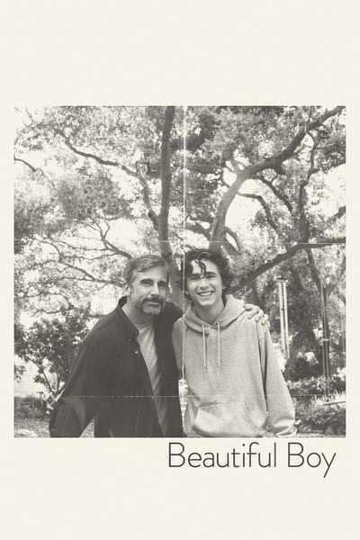 From the soundtrack to the movie beautiful boy. Beautiful Boy movie review & film summary (2018) | Roger Ebert