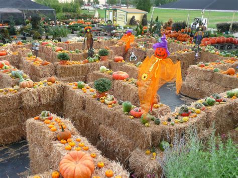 The 25 Best Hay Maze Ideas On Pinterest Fall Fest Halloween