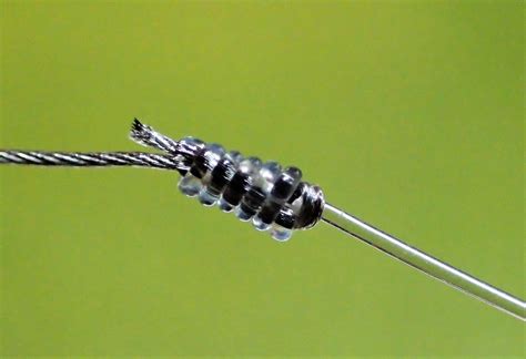 Mit der stärkeren schnur wird eine schlaufe gebildet. Albright-Knoten zum Fliegenfischen: Der beste Knoten aller ...