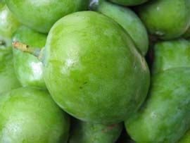 This model is 10meters high and a canopy of 13meters in diameter. Pin on philippines fresh produce
