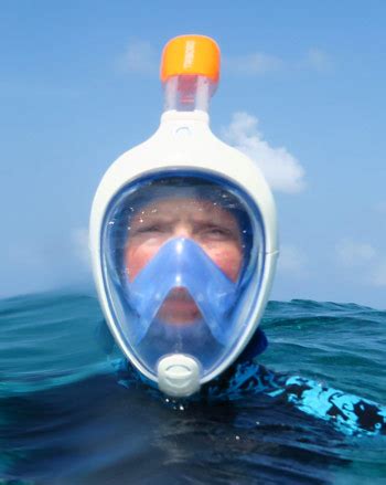 Why should you consider using such a full face snorkel mask though? Full Face Snorkel Mask Review: Should You Get One? Which ...