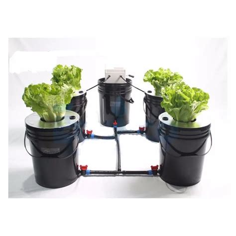 Eco Farm 5 Round Bucket Aeroponic System For Hydroponics For Sale