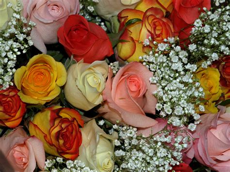 Bouquets Roses Flowers Wallpapers Hd Desktop And Mobile Backgrounds