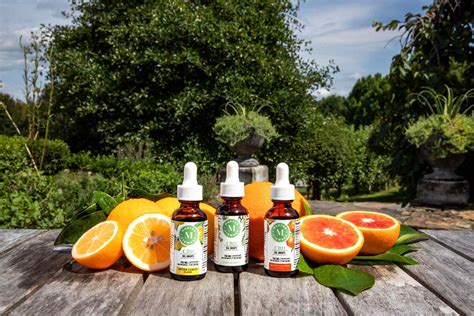 Martha Stewarts New Line Of Cbd Products Is Available Now Martha Stewart