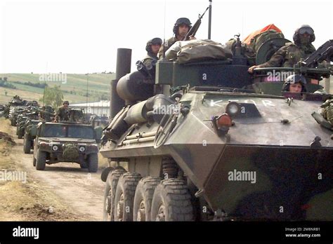 A Convoy Of Us Marines On Light Armored Vehicles Lav 25s And High