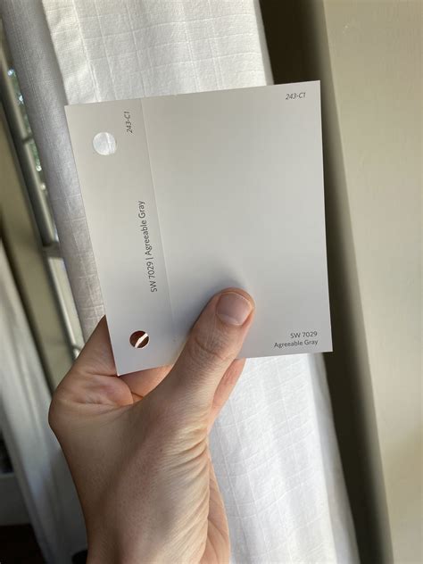 Why is Sherwin Williams Agreeable Gray 7029 so Popular? — Color