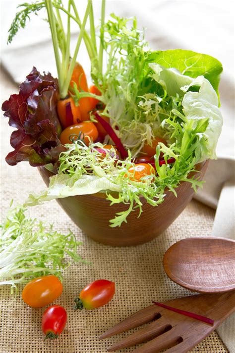 Garden Salad Bowl Stock Photo Image Of Meal Lettuce 22766598