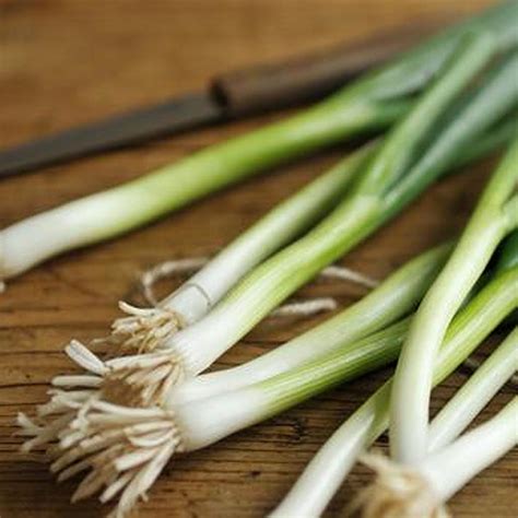 A bowl of baby arugula becomes a salad with a forkful of pickled onions and a drizzle of olive oil. Amazing Health Benefits of Spring Onions | D'elephant