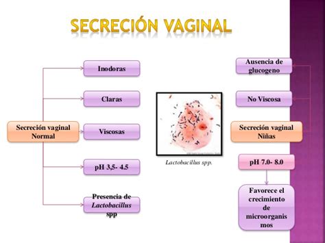 Frotis Y Cultivo De Secrecion Vaginal