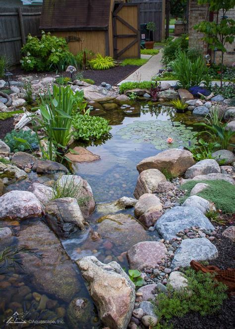Small To Large Ponds Pbc Waterscapes Natural Ponds Water Features