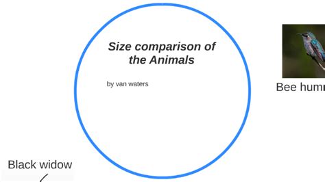 Size Comparison Of The Animals Scot Universe Pt 1 By Van Waters On